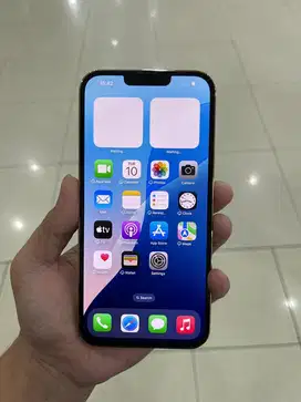 iPhone 13 promax 256