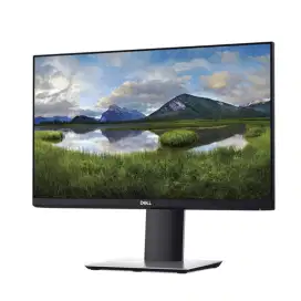 monitor dell p2219h 22  inch
