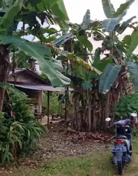 Dijual Cepat Tanah Kosong Lokasi Strategis