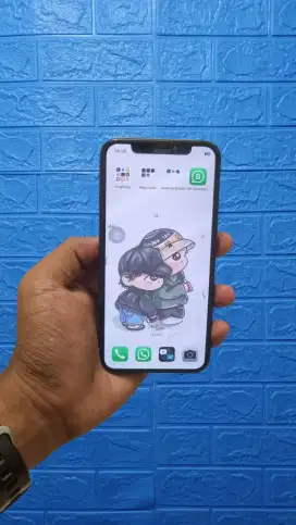 iPhone X 256GB Eks Inter