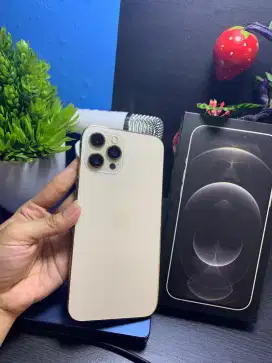 IPHONE 12 PROMAX INTERNAL 128GB 
EX IBOXX

FACE ID ON
TRUTUNE ON
BH 1