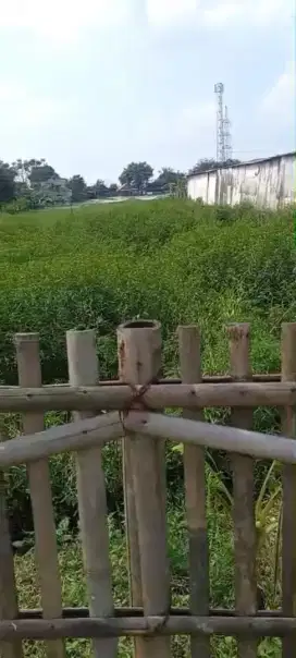 Sawah dijual, lokasi starategis