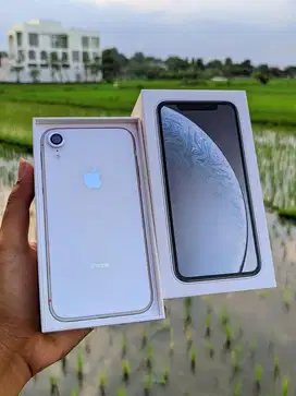 Iphone XR 64 GB iBox