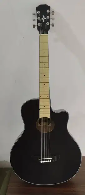 Gitar Akustik Apx500