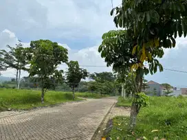 TANAH MURAH AREA MALANG KOTA COCOK UNTUK BISNIS SHM NEGO!