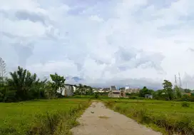Tanah Merjosari Area Potensial untuk Kos-kosan Dekat UMM Malang