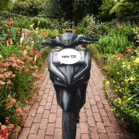 Dp 1jt Vario 125 160 (Bi jelek ktp daerah bs kredit) Honda 150