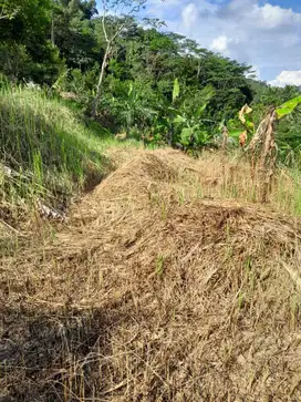 JUAL TANAH LUAS SHM KUNINGAN JAWA BARAT