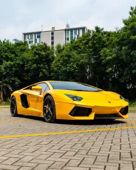 Lamborghini Aventador LP700-4 2013 KM 1.xxx