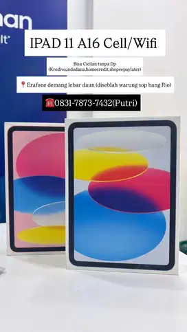 IPad 11 A16 Cell/Wifi