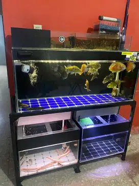 Aquarium Full Set