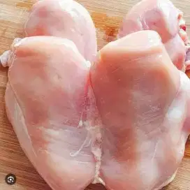 Jual fillet dada ayam
