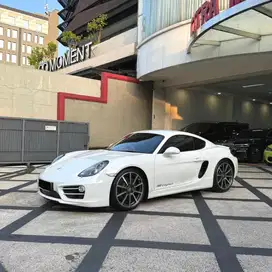 Porsche cayman 981 2014 nik 2013