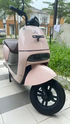 Motor listrik steratto pink