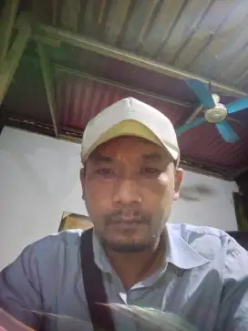 Siap jadi supir pribadi