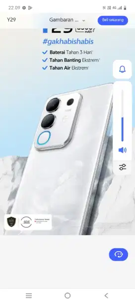 Vivo y 29/256 gb