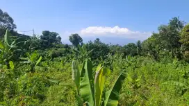 Tanah untuk investasi kebun villa sangat strategis view lepas gunung