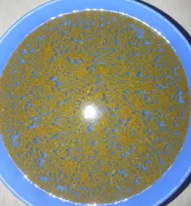 Telur ikan gurame padang