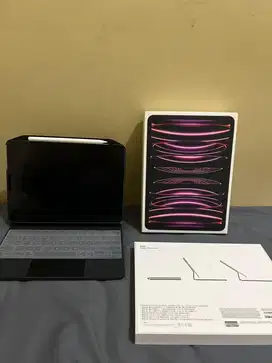 Ipad pro m2 256gb celuler wifi