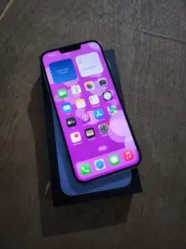 iPhone 13 promax 256 normal