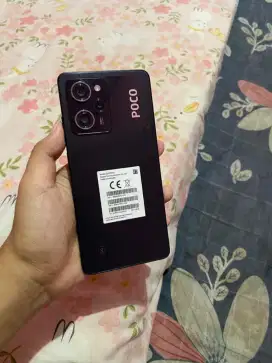 Poco X5 Pro 8+8/256Gb