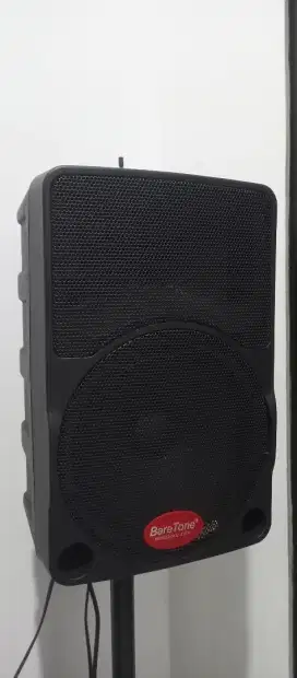 Speaker BareTone Max 10c