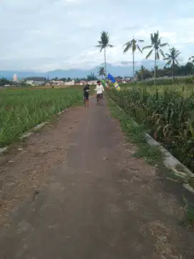 Tanah murah bisa kredit siap bangun tumpang malang