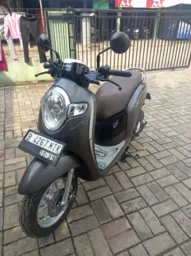 Scoopy 2019 sehat