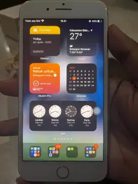 Iphone 8+ , 256 Gb , Inter All Operator