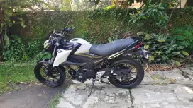 Suzuki GSX 150 Bandit 2019