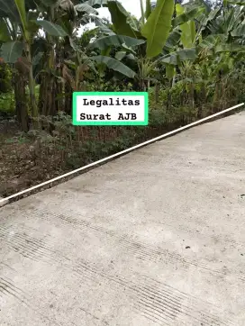 Jual tanah kebun murah akses mobil Kemang Parung bgr
