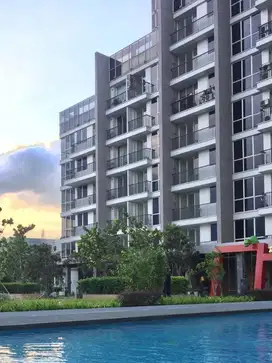 Apartemen Lexington Bintaro Jual sampai Deal BU