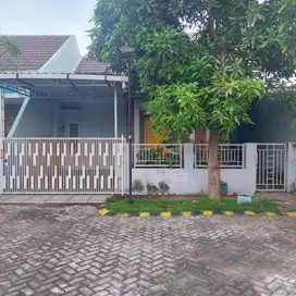 Dijual Rumah murah di Grand Surya jayaland