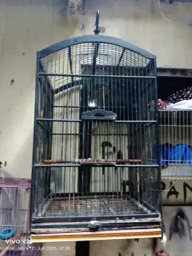 Kandang No 1 siap pakai