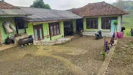 Rumah 2 Unit , Lt. 1000 m, Warung 1 & Sawah. Darangdan, PWK.