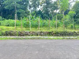 Tanah Strategis 175 Juta Barat Pasar Mojogedang Karanganyar