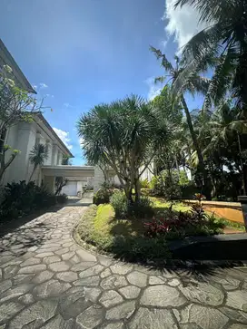 Rumah mewah di Bintaro Sektor 8 ada kolam renang