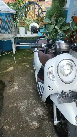Honda Scoopy prestige 2022 Purwodadi_grobogan