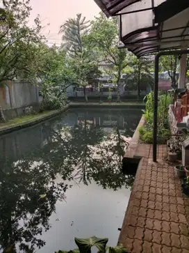 Dijual Rumah murah 500 m2 ada kolam ikan loji dekat RSUD kota Bogor