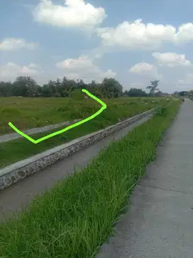 Dijual tanah sawah di minggir sleman yogayakarta