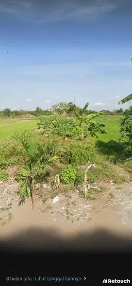 Tanah Sawah Murah Strategis dan Produktif Dekat Exit Tol Jogja - Solo