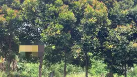 Di jual Tanah strategis area business park bekasi