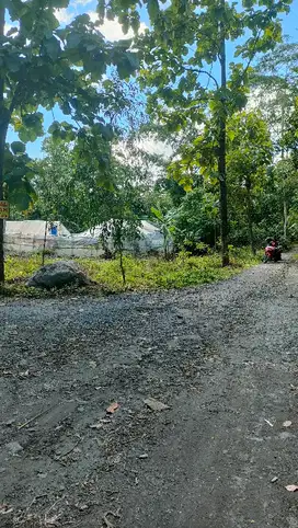 Dijual tanah pekarangan 1700m ld 50m di manisrenggo