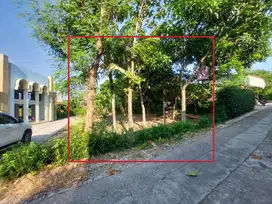 tanah pekarangan dekat masjid lokasi plesungan ringroad solo