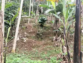 Tanah Kebun 800 m, Udara Sejuk, Darangdan, Purwakarta.