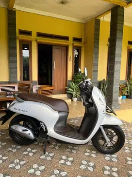 Honda Scoopy Prestige White 2023