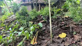 TANAH URUG MURAH