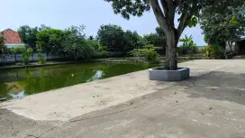 BU Jual Tanah Murah Harga di bawah pasaran