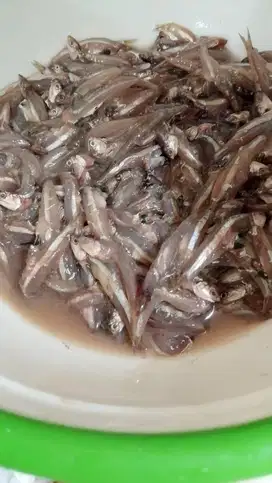 PRODUKSI & PACKING DAPUR NON HALAL WANITA RAJIN SUKA RAPIH DAN BERSIH