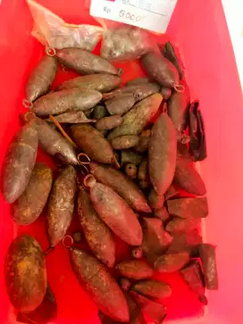 Timah memancing besar.